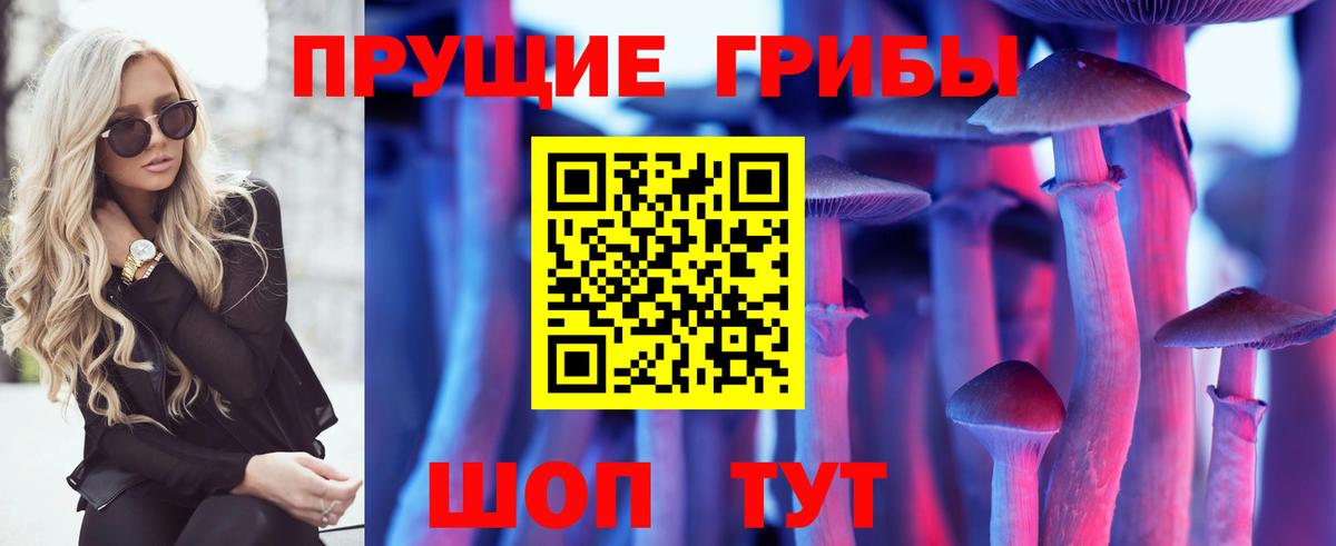 Кудрово  Псилоцибиновые грибы MAGIC MUSHROOMS  Псилоцибиновые грибы GOLDEN TEACHER  Вход с VPN 